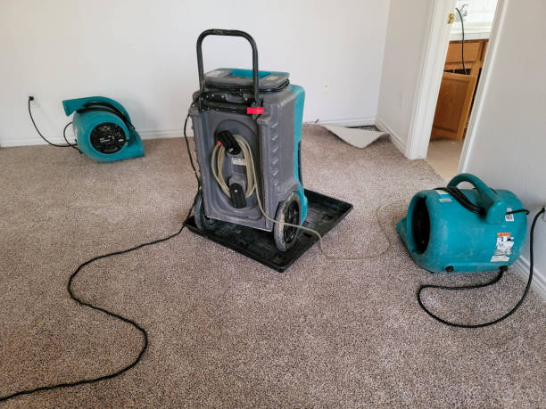 Best Flooded house restoration  in New Carlisle, OH