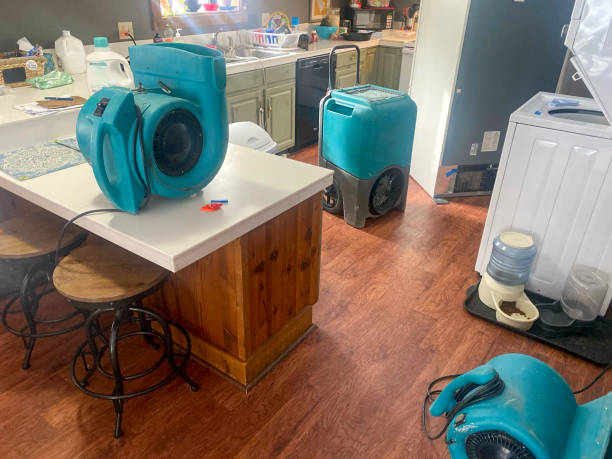 Best Commercial water damage restoration  in New Carlisle, OH