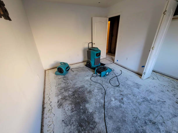 Best Flooded house restoration  in New Carlisle, OH