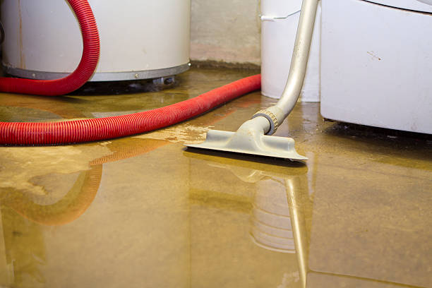 Best Carpet water damage restoration  in New Carlisle, OH