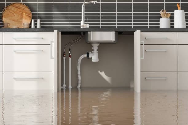 Best Water damage cleanup near me  in New Carlisle, OH